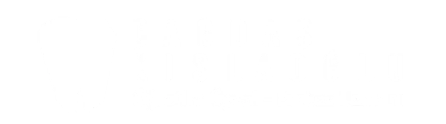 Duende Dijital Reklam Ajansı Deneme 4 ÇAĞDAŞ KIŞLAOĞLU